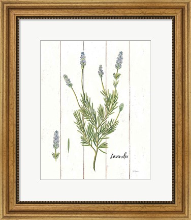 Framed Cottage Herbs II Print