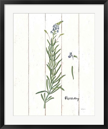 Framed Cottage Herbs I Print