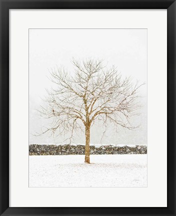 Framed By the Stone Wall Print