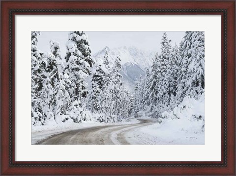 Framed Mount Baker Highway I Print