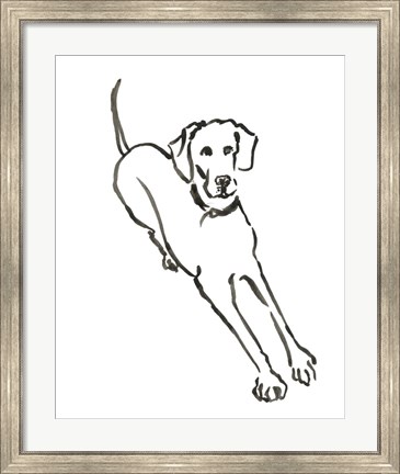 Framed Dog II Print