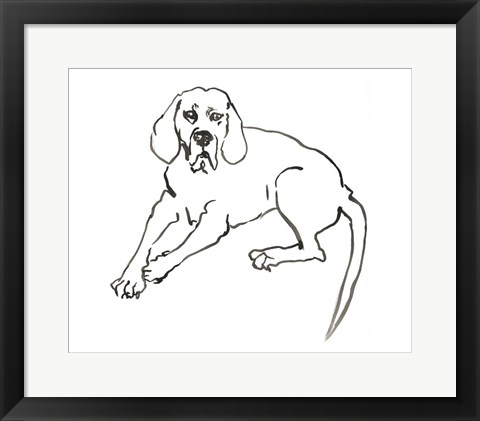 Framed Dog III Print