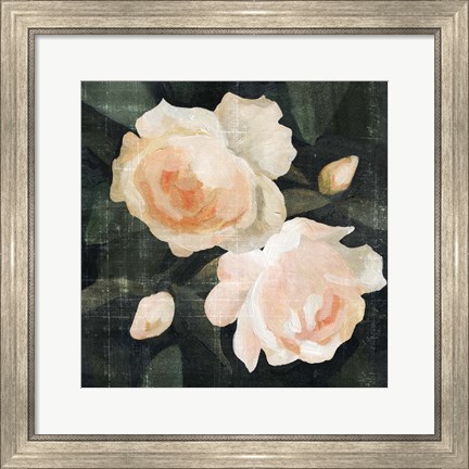 Framed Soft Garden Roses I Print