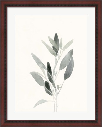 Framed Delicate Sage Botanical IV Print