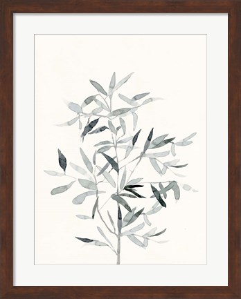 Framed Delicate Sage Botanical VI Print