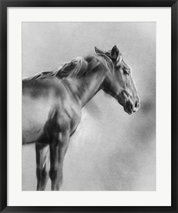 Framed Charcoal Equine Portrait I Print