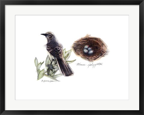Framed Bird &amp; Nest Study I Print