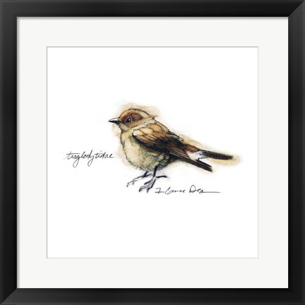 Framed Songbird Study I Print