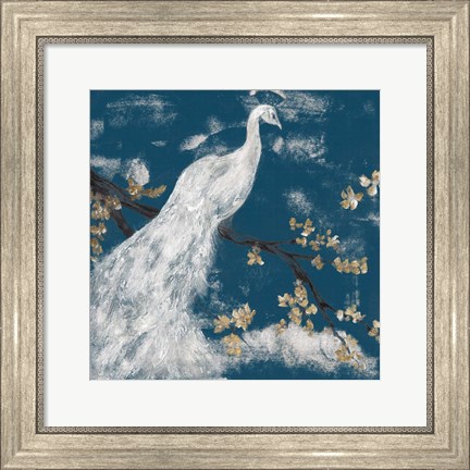 Framed White Peacock on Indigo I Print
