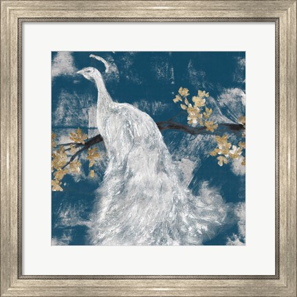 Framed White Peacock on Indigo II Print