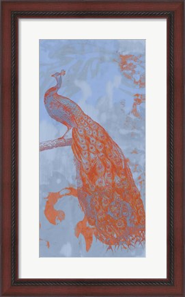 Framed Pop Peacock II Print