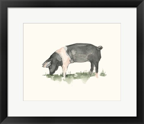 Framed Grazing Farm Animal IV Print