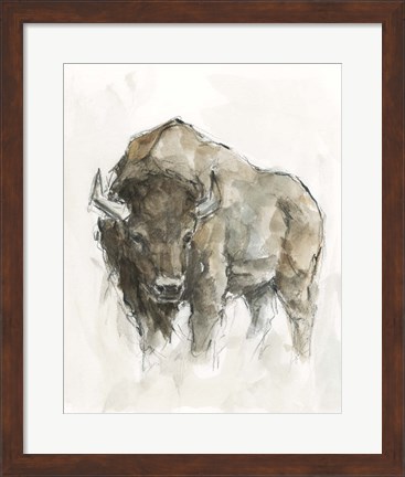 Framed American Buffalo II Print