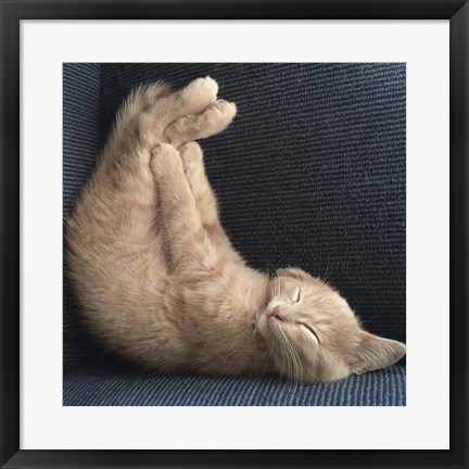 Framed Cat Yoga VII Print