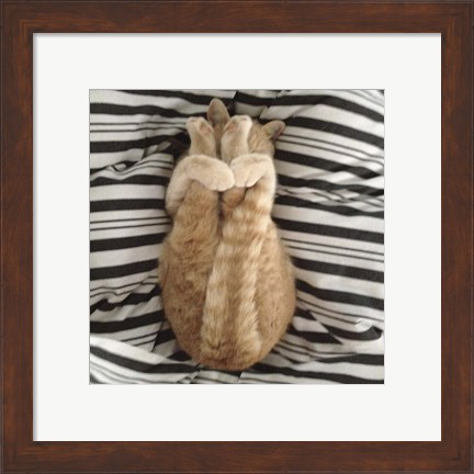 Framed Cat Yoga IX Print