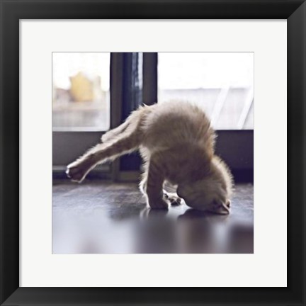 Framed Cat Yoga X Print
