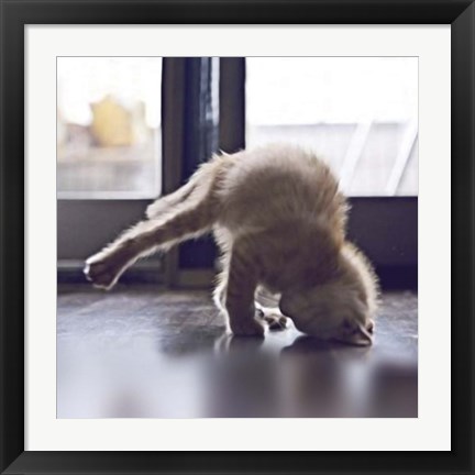 Framed Cat Yoga X Print