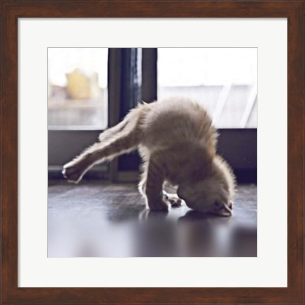 Framed Cat Yoga X Print