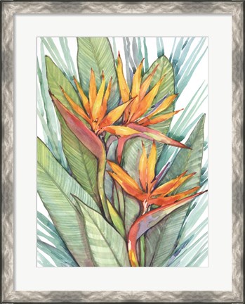 Framed Tropical Botanical Paradise II Print