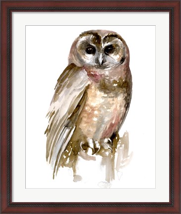 Framed Watercolor Owl II Print