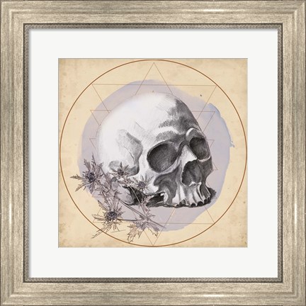 Framed Skull Thistle II Print