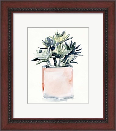 Framed Potted Succulent IV Print