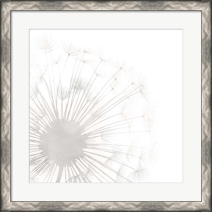 Framed Dandelion Whisper I Print