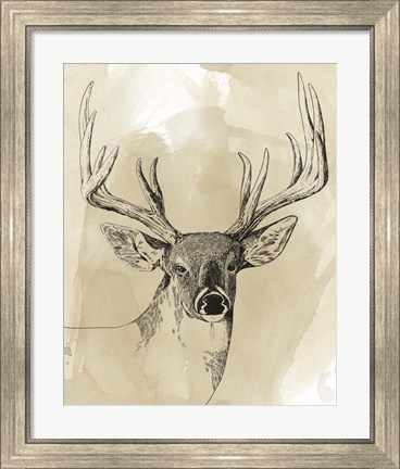 Framed Burnished Buck I Print
