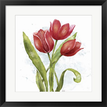 Framed Red Tulip Splash II Print