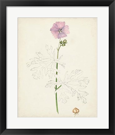 Framed Watercolor Botanical Sketches III Print
