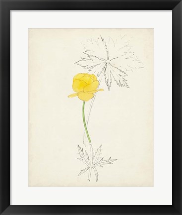 Framed Watercolor Botanical Sketches VII Print