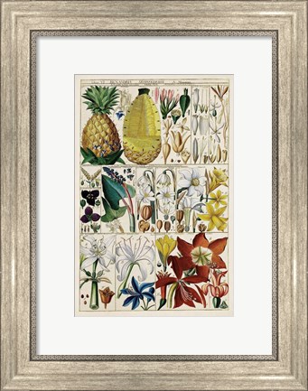 Framed Pineapple Chart Print