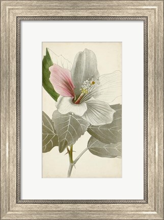 Framed Silvery Botanicals VI Print