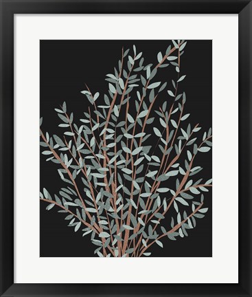 Framed Gunni Eucalyptus I Print