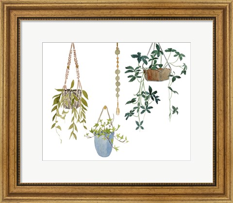 Framed Hanging Greens I Print