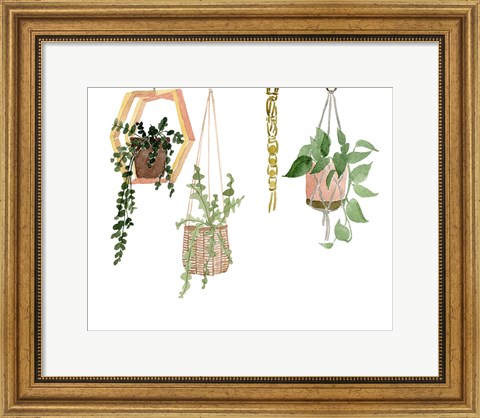 Framed Hanging Greens III Print