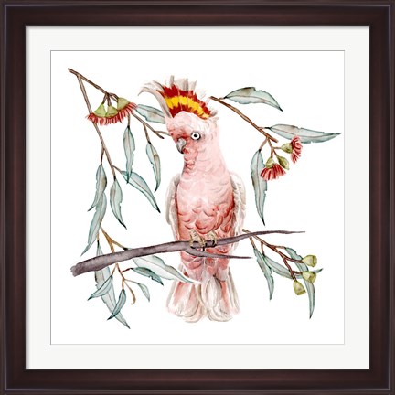 Framed Pink Cockatoo I Print