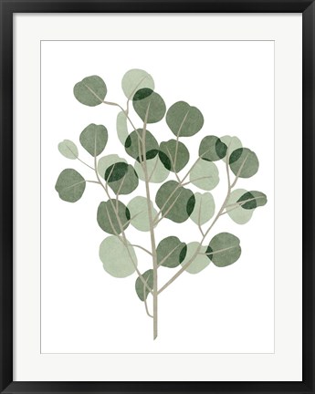 Framed Windy Eucalyptus I Print