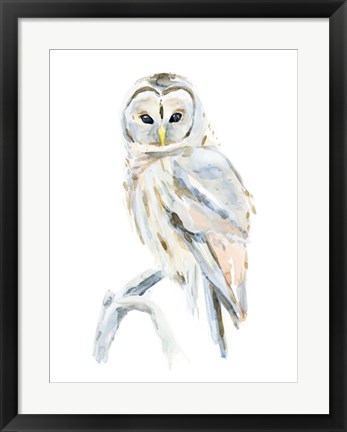 Framed Arctic Owl II Print