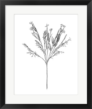 Framed Field Flower I Print