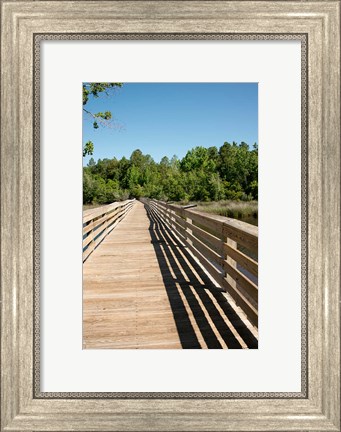 Framed Alabama, Theodore Bayou Boardwalk of the Bellingrath gardens Print