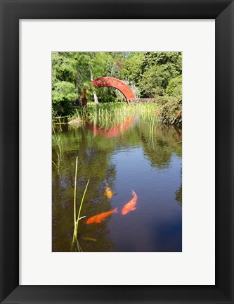 Framed Alabama, Theodore Bridge and Koi Pond at Bellingrath Gardens Print