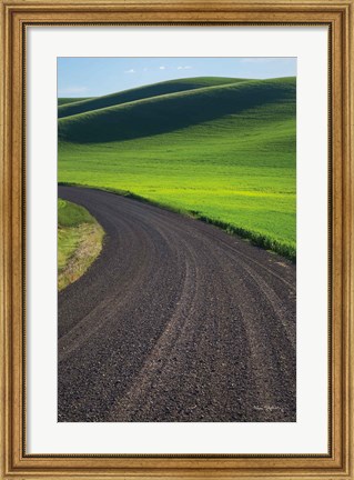 Framed Going Through Palouse Wheat Fields Print