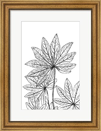 Framed Botanical BW III Print