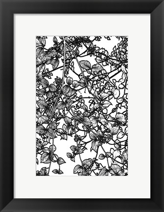 Framed Leafy BW III Print