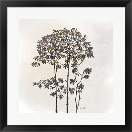 Framed Leafy Treetop Print