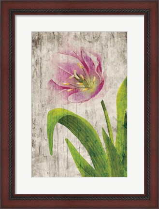 Framed Tulips I Print