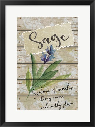 Framed Sage Print