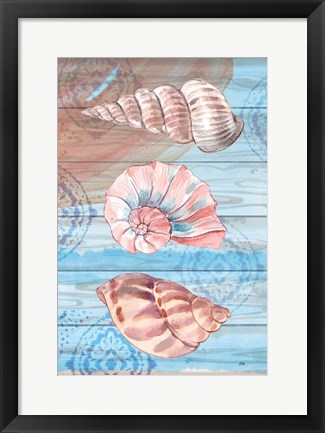 Framed Coastal IX Print