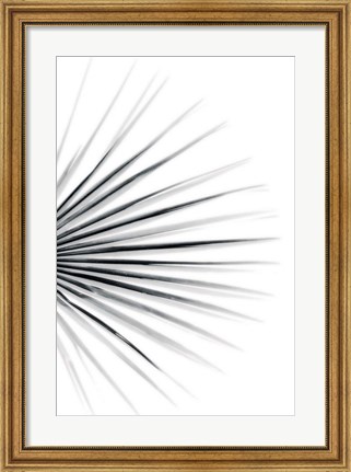Framed Palm IV Print